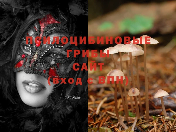 ПСИЛОЦИБИНОВЫЕ ГРИБЫ Фурманов