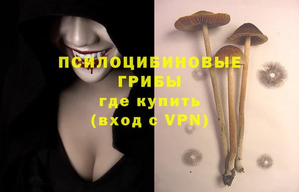 экстази Ельня