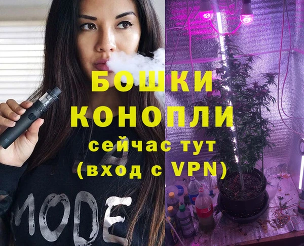 МДПВ Елизово