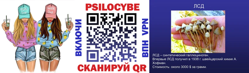 Псилоцибиновые грибы мухоморы Судак